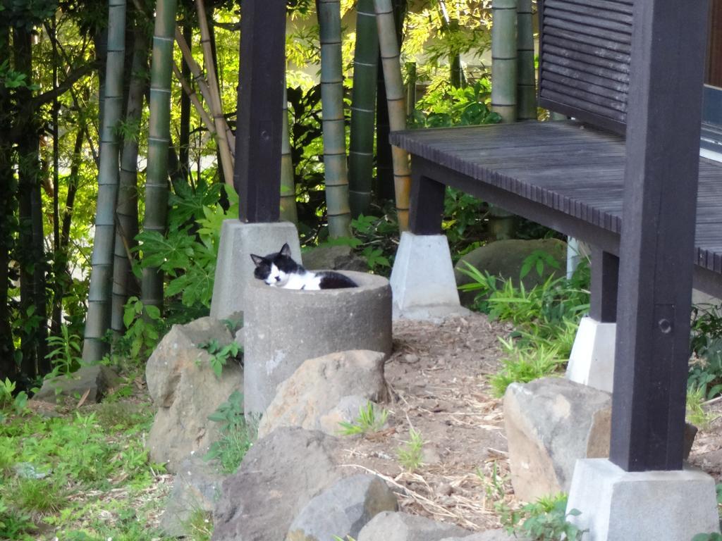 אטאמי Ryokan Izuna מראה חיצוני תמונה